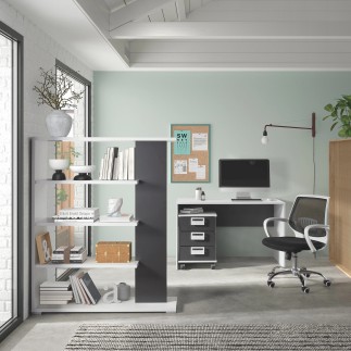 Silla escritorio lumbar Expert